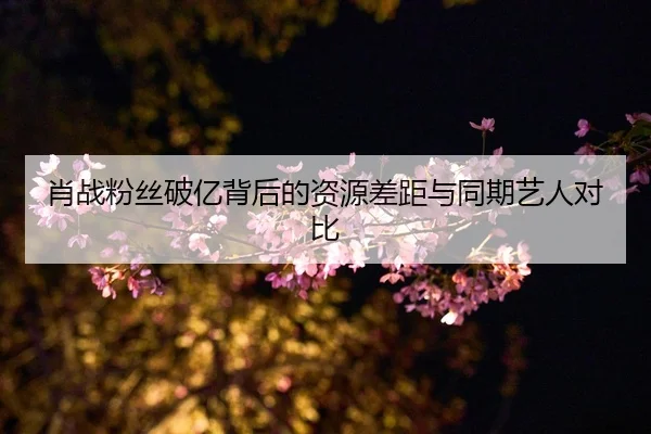 肖战粉丝破亿背后的资源差距与同期艺人对比
