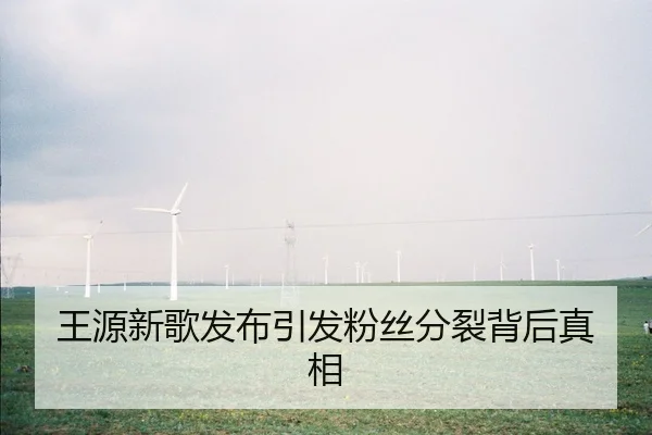 王源新歌发布引发粉丝分裂背后真相
